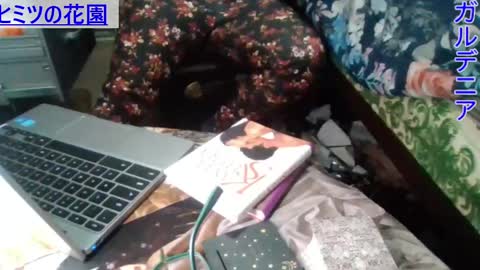 Gardenia online show from 12-23-24, 08:11