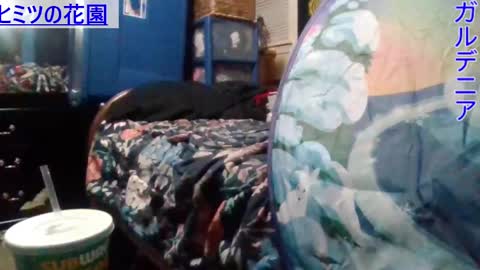 Gardenia online show from 12-25-24, 12:37