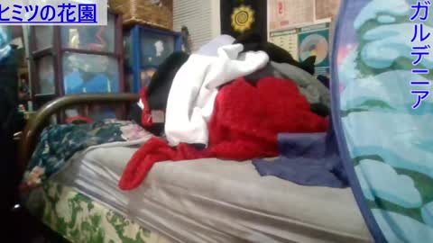 Gardenia online show from 03-01-25, 07:08