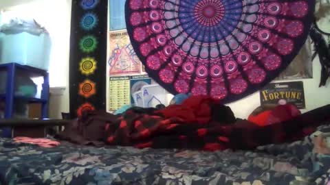 Gardenia online show from 02-22-26, 08:40