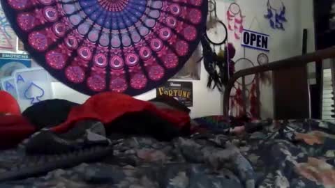 Gardenia online show from 04-04-26, 10:24