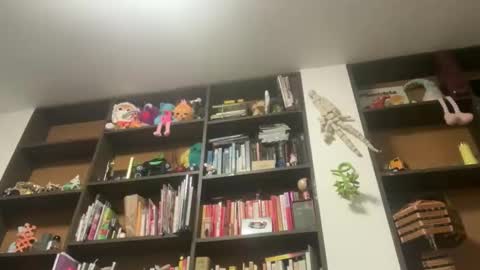 Snapshot of gargoyle_blog chatting on 05-29-26, 03:48 Gargoyle online show from 05-29-26, 03:48