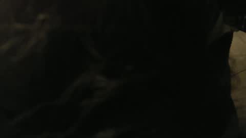 Snapshot of gary_in_maryland chatting on 01-09-25, 12:46 Gary online show from 01-09-25, 12:46
