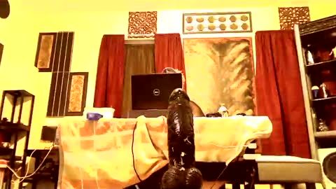 gatewaylaptop2019 online show from 03-09-25, 07:56