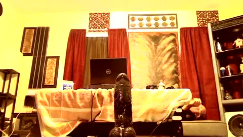 gatewaylaptop2019 online show from 03-09-25, 02:10