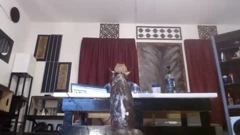 gatewaylaptop2019 online show from 04-09-26, 06:19