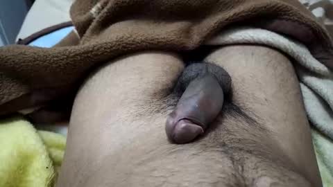 gbbdjr123 online show from 01-12-26, 03:17