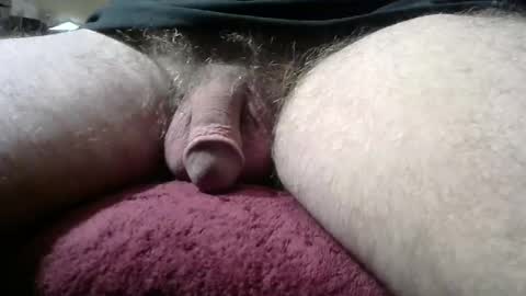 gemini_2 online show from 01-12-25, 03:46