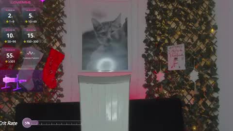 Snapshot of geminis_grey chatting on 01-21-25, 06:54 Geminis online show from 01-21-25, 06:54