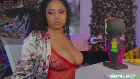 Snapshot of geminis_grey chatting on 02-15-25, 02:26 Geminis online show from 02-15-25, 02:26