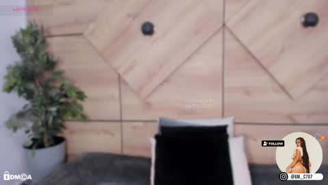    online show from 01-24-25, 10:51