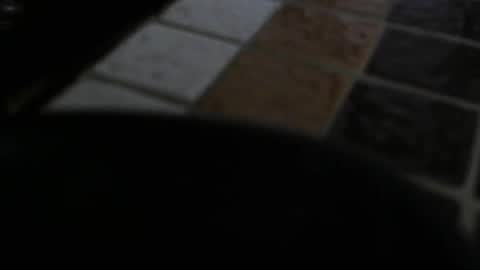 Snapshot of gene4 chatting on 12-31-24, 07:29 gene online show from 12-31-24, 07:29