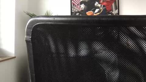 Snapshot of german3003 chatting on 10-28-25, 09:46 german3003 online show from 10-28-25, 09:46