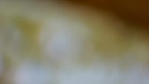 germanandy71 online show from 11-26-25, 09:10