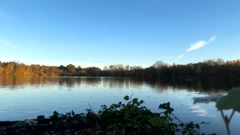 Snapshot of germanwankingman92 chatting on 11-05-25, 03:12 Pink Dog online show from 11-05-25, 03:12