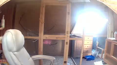 Snapshot of germany_50 chatting on 09-20-25, 06:36 germany_50 online show from 09-20-25, 06:36