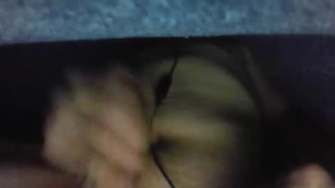 gezuz42069 online show from 03-31-26, 09:53