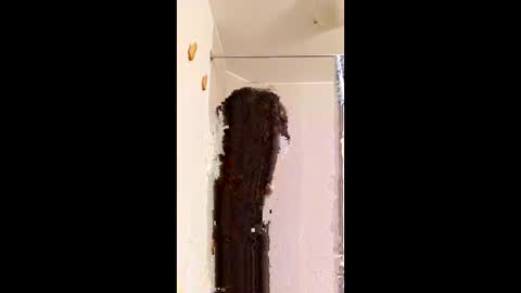 Snapshot of ggggu495826 chatting on 02-10-26, 02:32 ggggu495826 online show from 02-10-26, 02:32