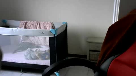 Gisse online show from 02-24-25, 07:55