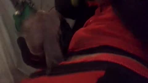 ghallofino26 online show from 02-05-26, 02:49