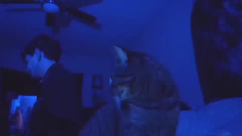 SrirachaSwitchblade  online show from 11-13-25, 08:57