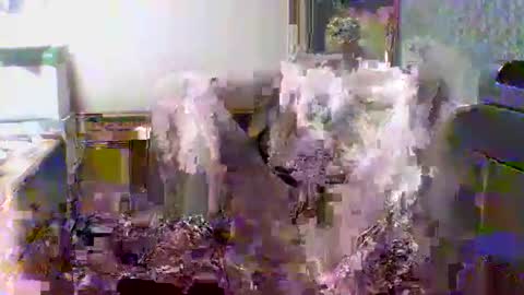 Snapshot of giann005 chatting on 03-24-26, 03:28 giann005 online show from 03-24-26, 03:28