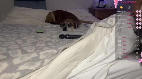 Snapshot of gigitaylorr chatting on 12-29-24, 07:53 gigi online show from 12-29-24, 07:53