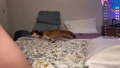 Snapshot of gigitaylorr chatting on 02-05-25, 01:58 gigi online show from 02-05-25, 01:58