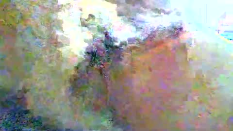 Snapshot of gilou34 chatting on 06-11-26, 01:09 gilou34 online show from 06-11-26, 01:09