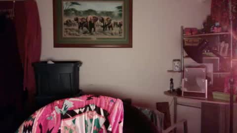 gingerbd92 online show from 04-20-26, 12:30