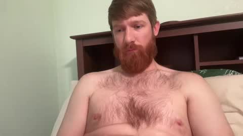 Snapshot of gingermania10 chatting on 12-19-24, 07:40 gingermania10 online show from 12-19-24, 07:40