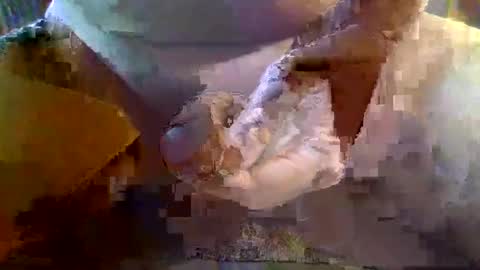 girafsnoop online show from 01-19-25, 09:22