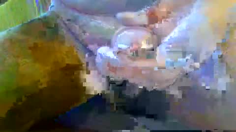 girafsnoop online show from 09-28-25, 08:09