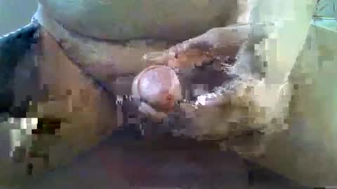 girafsnoop online show from 11-22-25, 09:08