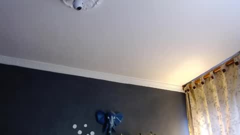 piggy boy online show from 01-31-25, 08:54