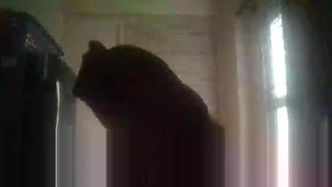 gloriakisibo548 online show from 04-18-26, 09:24