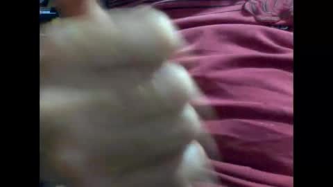 PencilDick online show from 02-09-25, 08:54