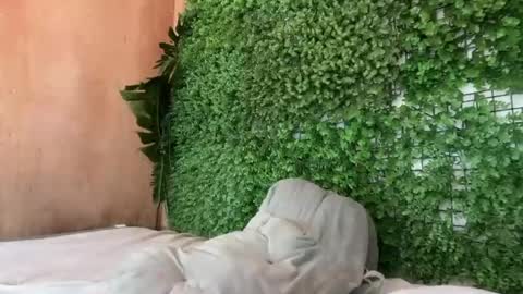 goddess_jennyxx online show from 03-29-26, 11:32