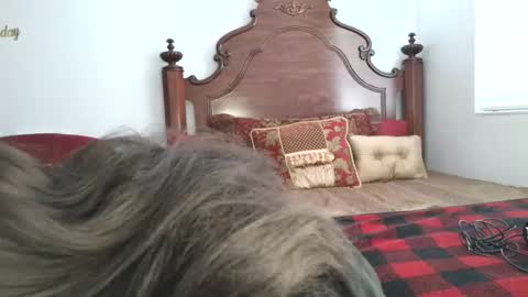 Xandra The Goddess online show from 03-19-26, 01:26