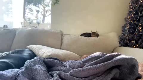 GoddessMayvn online show from 01-07-25, 11:03