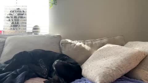 GoddessMayvn online show from 02-17-25, 09:52