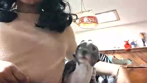 goddessxxamina online show from 01-13-26, 04:29