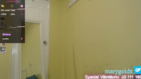 Snapshot of gold_mary_ chatting on 01-25-25, 11:34 Mary online show from 01-25-25, 11:34