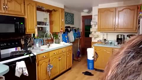 goodgirlcelestecat online show from 03-23-26, 10:30