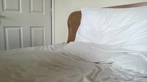 Snapshot of gotenks93 chatting on 03-04-25, 08:35 Dillan Diamonds online show from 03-04-25, 08:35