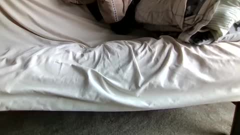 watch me stroke online show from 04-12-26, 12:43