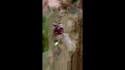 Snapshot of grabisz30 chatting on 05-11-26, 03:29 grabisz30 online show from 05-11-26, 03:29