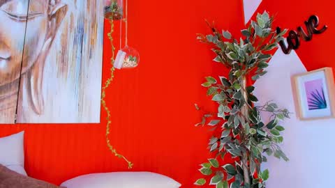 grace online show from 02-20-25, 10:37