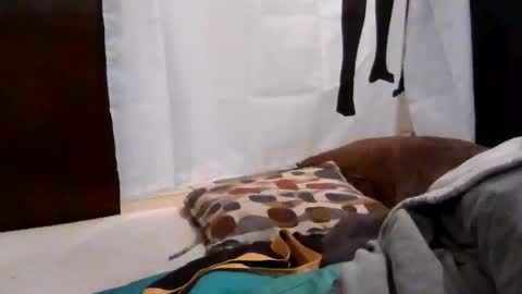 Get US to 1000 you wont be disapointed online show from 12-18-25, 03:23