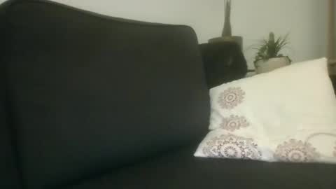 greatdick25700 online show from 09-08-25, 08:19